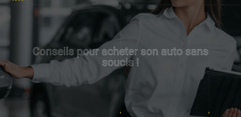 https://www.conseil-achat-auto.com